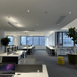 الصين Jiayao Co., Ltd.