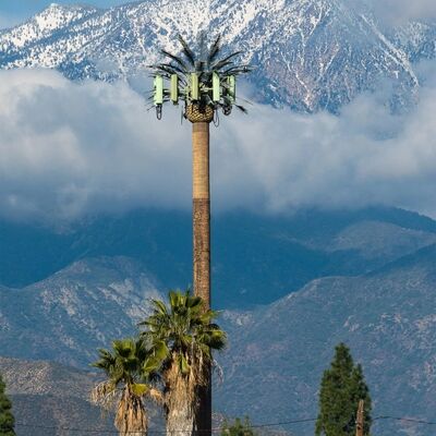 برج الشجرة البيونيك مصمم لسرعات رياح تصل إلى 250 كم/ساعة مع درجات فولاذ معتدلة وعالية الشد تضمن السلامة والمتانة