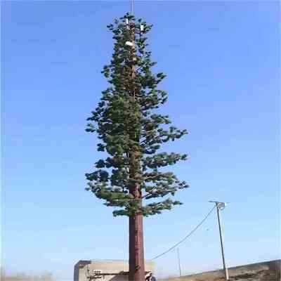 15 25 32 متر برج شجرة الصنوبر الإلكتروني المخصص لتغطية إشارة City Park 5G