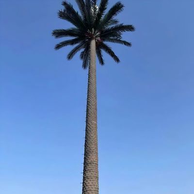 10 20 30 40 50 60 70 80 م غطس ساخن مغلف مخفي القطب النخيل / الصنوبر الميكرو برج الخلايا الزائفة الأشجار 10 20 30 40 50 60 70 80 م