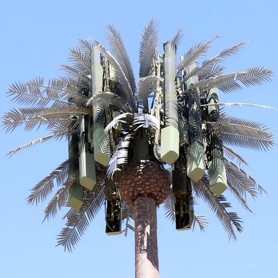 10 20 30 40 50 60 70 80 م غطس ساخن مغلف مخفي القطب النخيل / الصنوبر الميكرو برج الخلايا الزائفة الأشجار 10 20 30 40 50 60 70 80 م