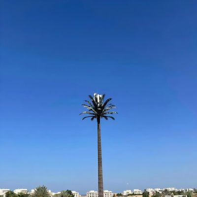 أبراج الخلايا المخفية البيونية GSM الهوائية الصلبة الاحتكارية برج الاتصالات