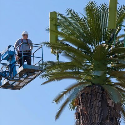 غالوانيزد جي إس إم الجوال بيونيك النخيل الشجرة الهوائي برج قطب واحد 5g برج التمويه