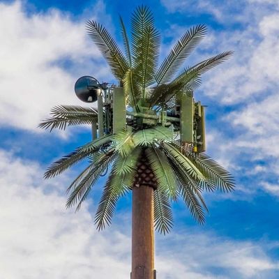 شجرة النخيل الشجرة المزيفة برج الخلايا الإتصالات الخفية 5-80M