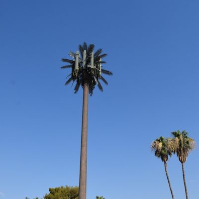 الميكروويف الاتصالات المتنقلة الاحتكار الزائف برج الخلايا النخيل