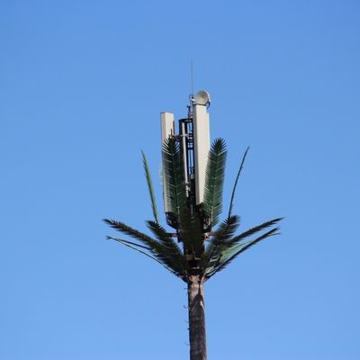 الميكروويف الاتصالات المتنقلة الاحتكار الزائف برج الخلايا النخيل