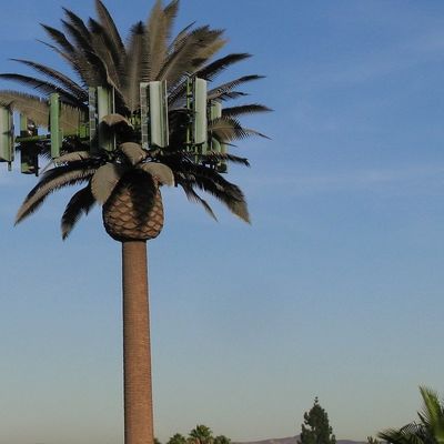 الميكروويف الاتصالات المتنقلة الاحتكار الزائف برج الخلايا النخيل