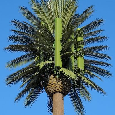 10 20 30 م شجرة النخيل شجرة مزيفة برج الخلايا التخفي الاتصالات 5-80M