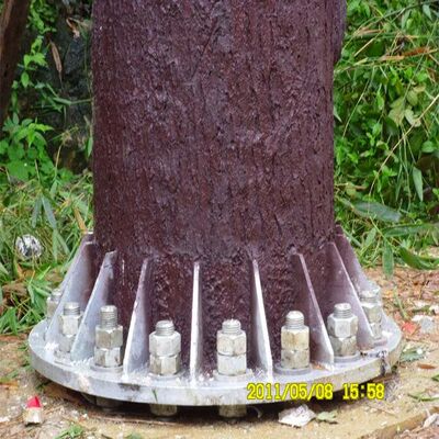 22M Bionic Tree Tower integrating hidden antenna mounts and cable management for clean installation of 5G 4G and microwave devices