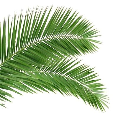 برج شجرة بيونيكي يشبه الشجرة مع فروع وأغصان من ألياف الزجاج لخلط المناظر الطبيعية بسلاسة