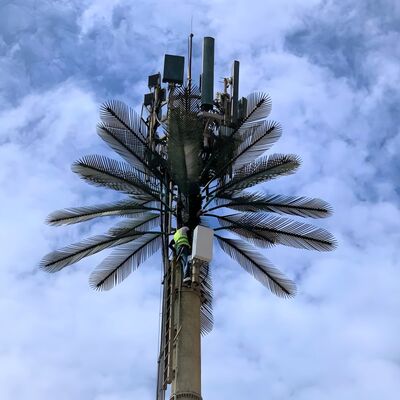 برج شجرة بيونيك هيكل اصطناعي تصميم الصلب سرعة الرياح تصل إلى 250 كم / ساعة مع خيارات الصلب الخفيف والعالي السحب