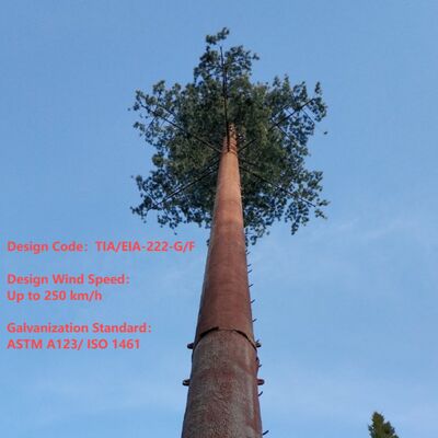 برج شجرة بيونيكي اصطناعي مع ANSI TIA 222 G H F و EN 1991 1 4 EN 1993 3 1 رموز التصميم للبنية التحتية