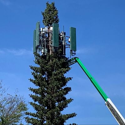 قوة تأثير برج الشجرة الاصطناعية Bionic Tree Tower KV 27 جول في درجات حرارة مختلفة للموثوقية الهيكلية