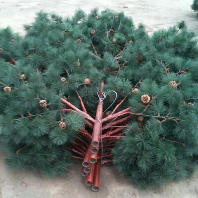برج اتصالات تمويه شجرة النخيل بيونيك على الطراز الاستوائي بطول 15-45 مترًا لتغطية إشارة المنتجع الساحلي، قلب فولاذي مجلفن لمدة 30 عامًا وأوراق مقاومة للأشعة فوق البنفسجية