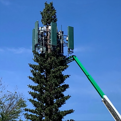 برج شجرة صنوبر بيونيك مموه صديق للبيئة لشبكة لاسلكية 5G التكامل الجمالي بيونيك مصنع صاري اتصالات شجرة النخيل