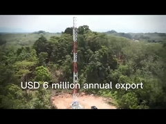 2برج الاتصالات الفولاذي ذو 3 أرجل