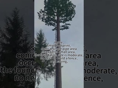 برج شجرة بيونيك